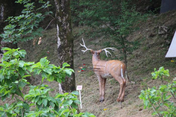 Arku-tiraketa Bihotzez elkar 29 1498391966730