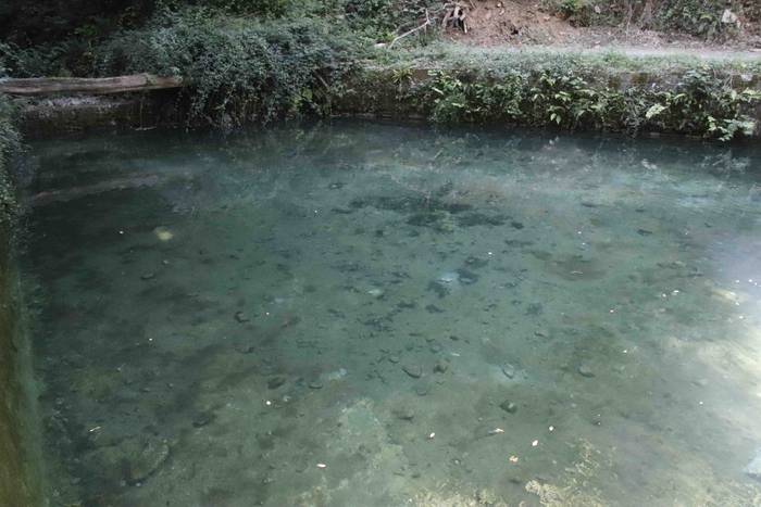 Malaka errekastoa 10 1627310006932