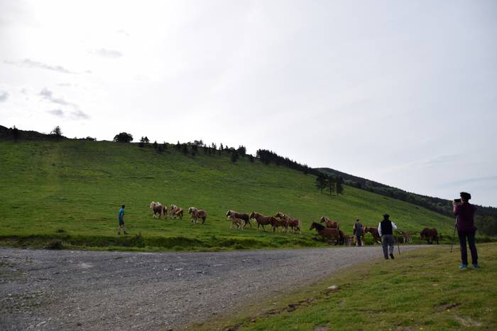 BERASTEG LARRE IREKIERA 2022 11 1652525077130