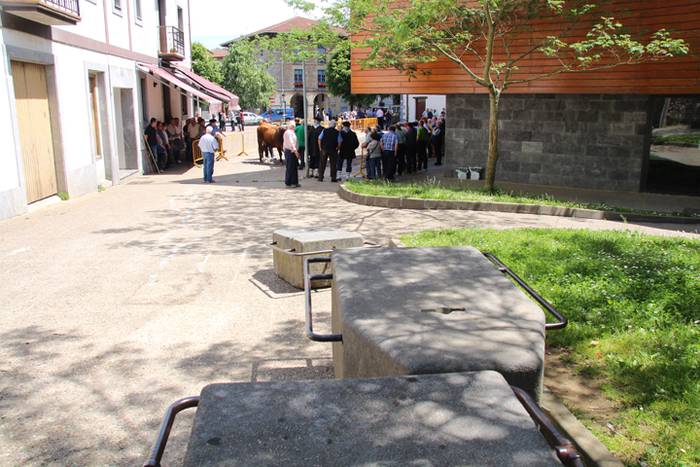 Idi erakustaldia Asteasuko p 8 1494859833511