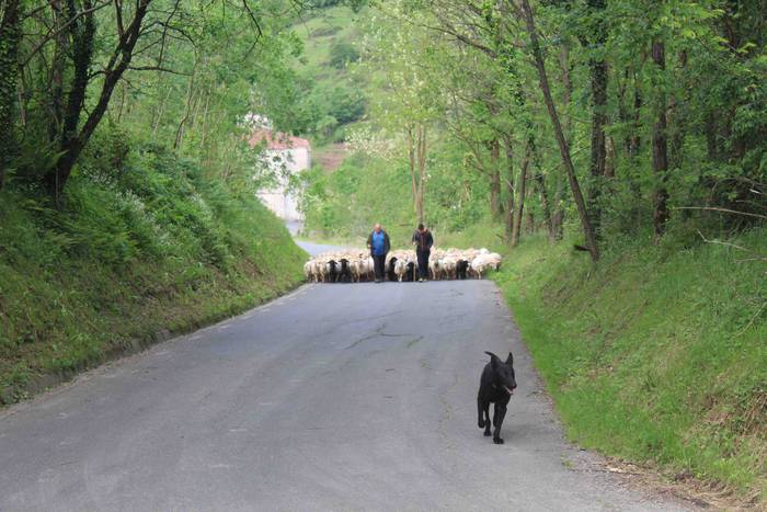 Larre irekiera ekitaldi bere 41 1588336796689