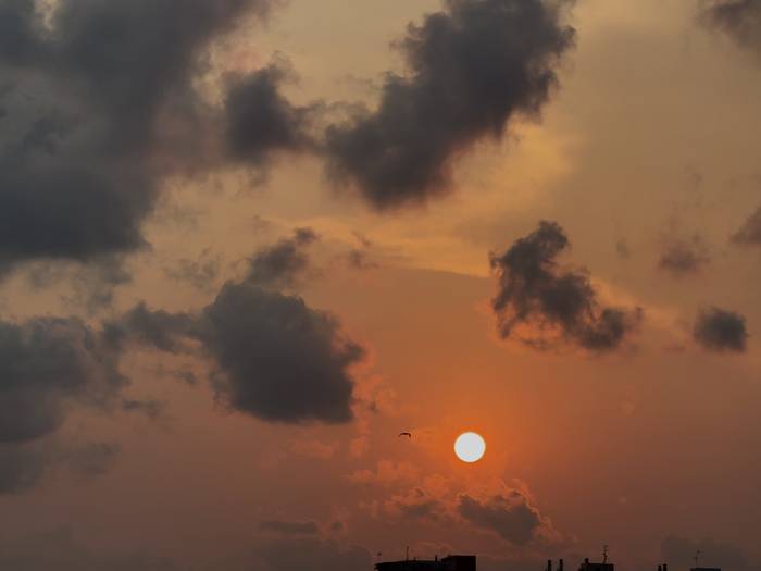 Askatasunaren Ilunabarra