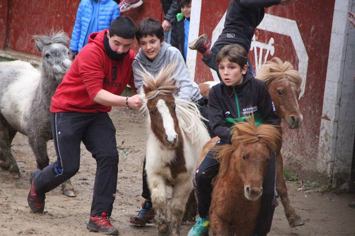 Txaranga eta zezenak piñata  24 1488738863720