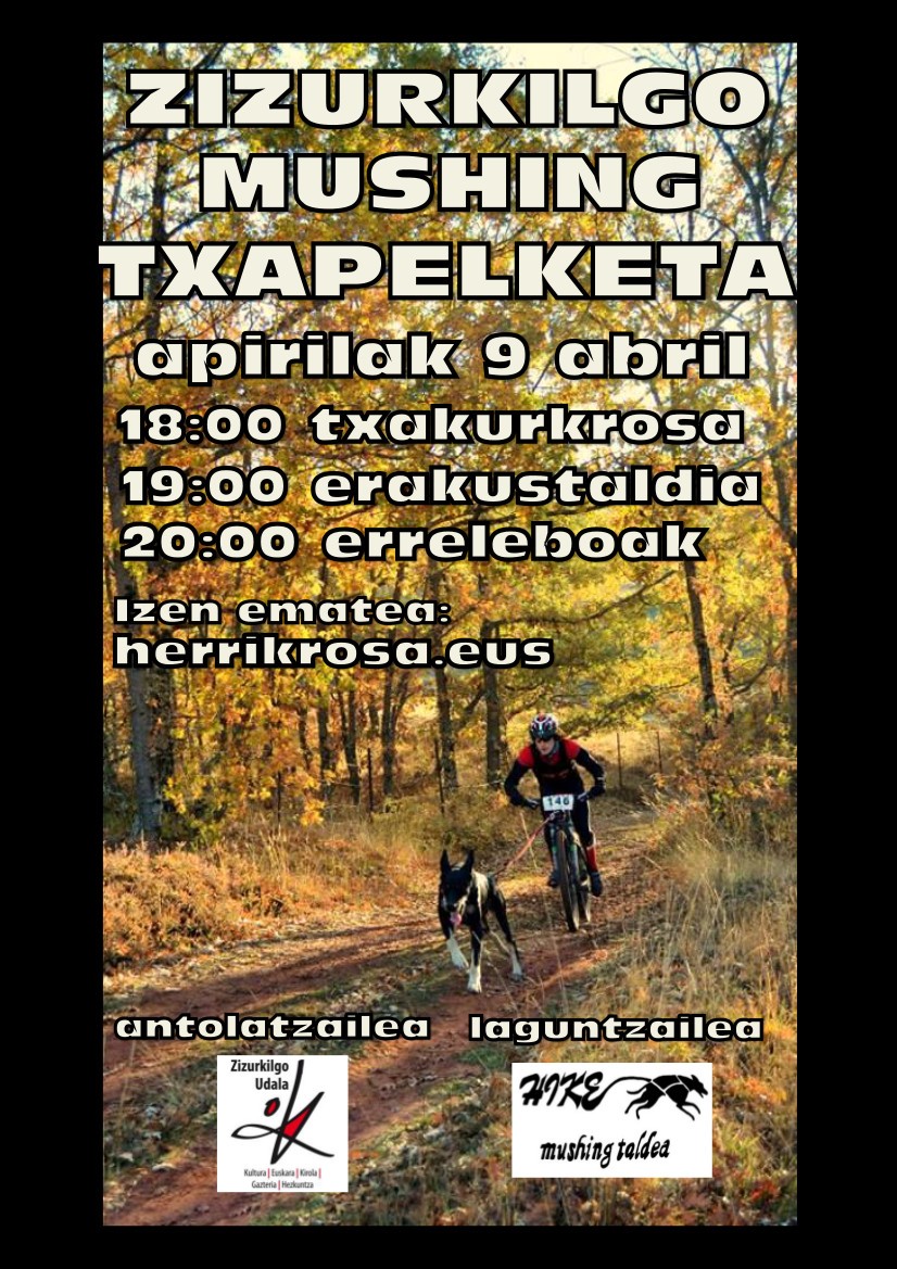 Zizurkilgo mushing txapelketa jokatuko da apirilaren 9an