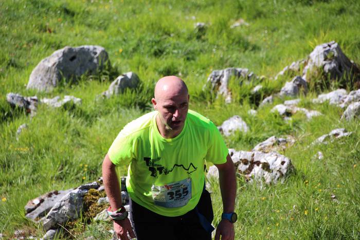 T3T, Hernio 2019 89 1560688450608