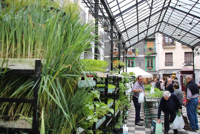 Lore eta Landare Azoka Tolosan 2016 1 1465051781857