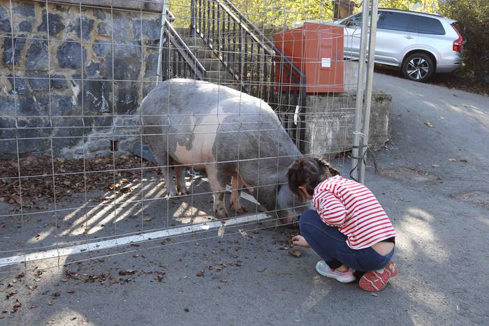 Zer ikusi izan da Bedaion 24 1668343707324