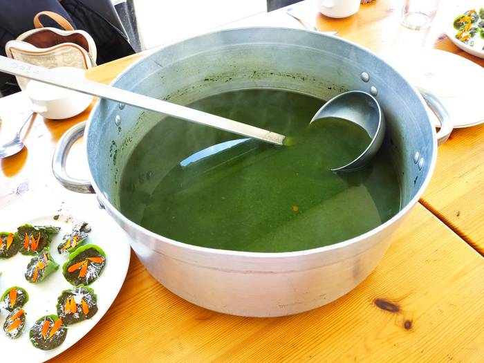 Sendabelar ikastaroa Urkizun 3 1652175192703