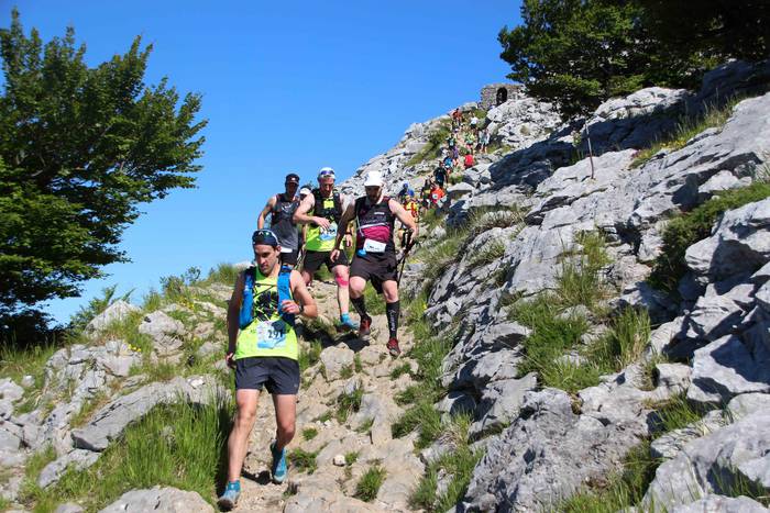 T3T, Hernio 2019 82 1560688446880