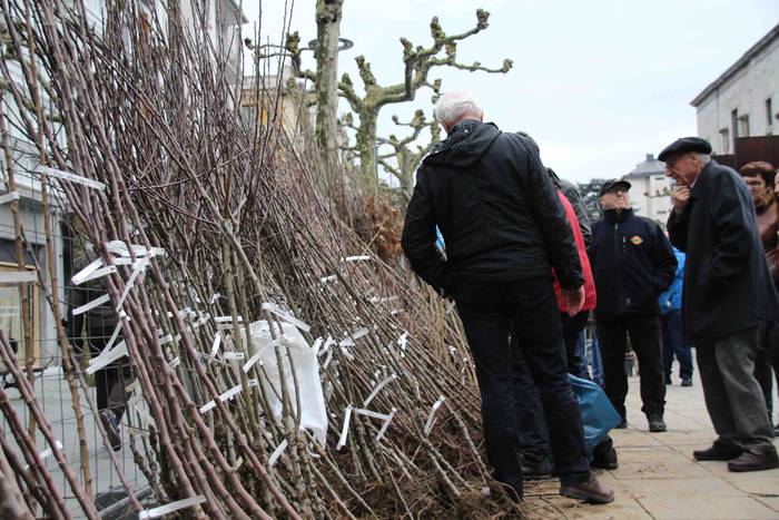 Erein eta zaintzearen magiak 8 1581165927480