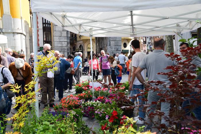 Lore eta Landare azoka Tolos 38 1652529031993