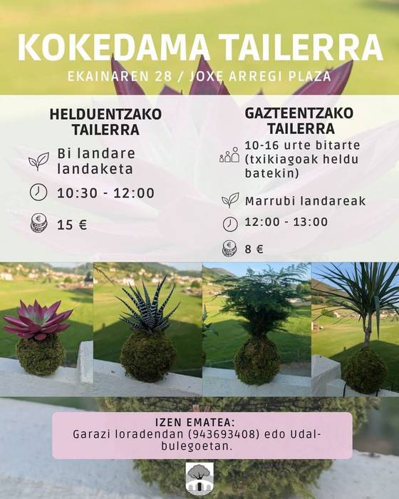 Tailerra