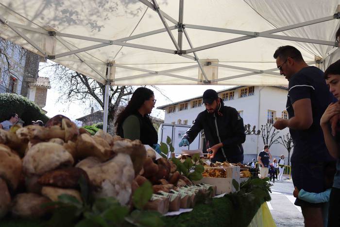 Zizurkilgo herrigunea azoka  26 1665320444383