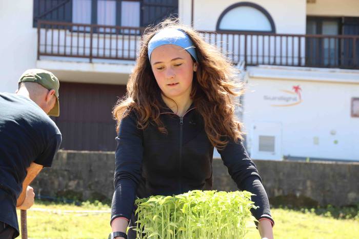 Erein dituzte lehen piperrak 23 1559303472367