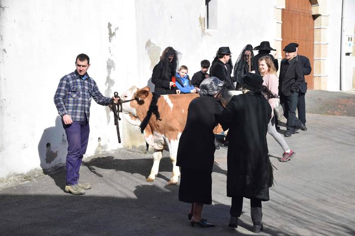 Hasi dituzte Lizartzan inaut 10 1550323590903