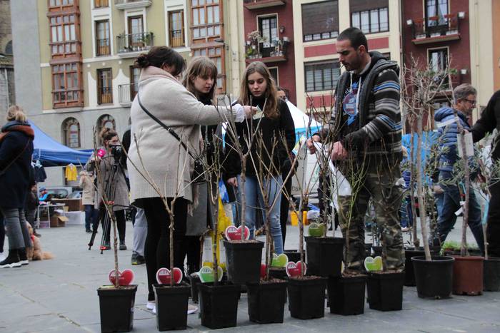 Erein eta zaintzearen magiak 14 1581165933132