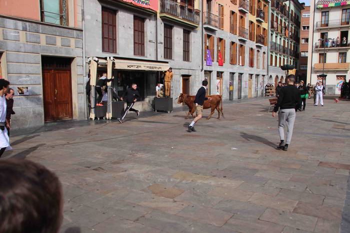 Soka zintzilik eta muturrak  41 1646140701797