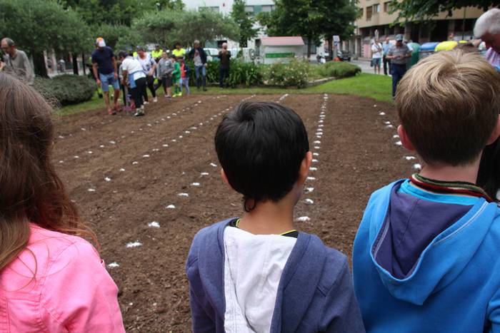 Aurtengoa, biolinak gozatua 25 1497265085672