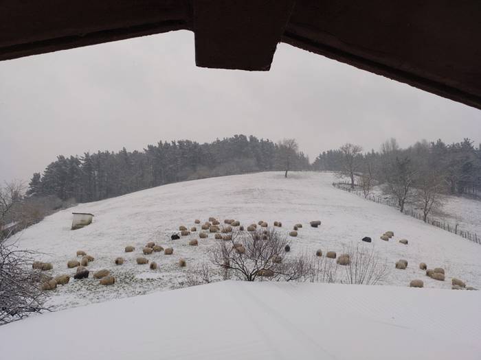 Argazki galeria: Tolosaldea, 60 1519810040736