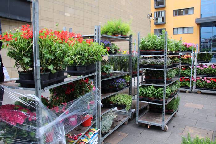 Lore eta Landare Azoka Tolosan 2016 22 1465051790205