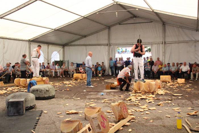 Asteasuko Festak 2016-Erretirodunen Eguna 18 1467297768508