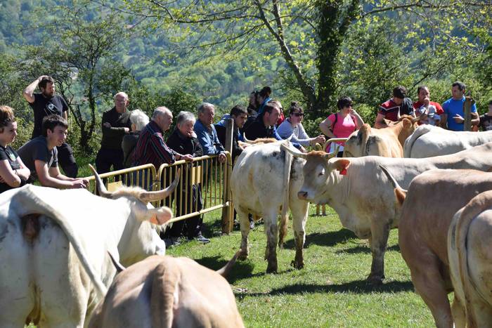 Larrerati dituzte abereak Ar 22 1556716274187