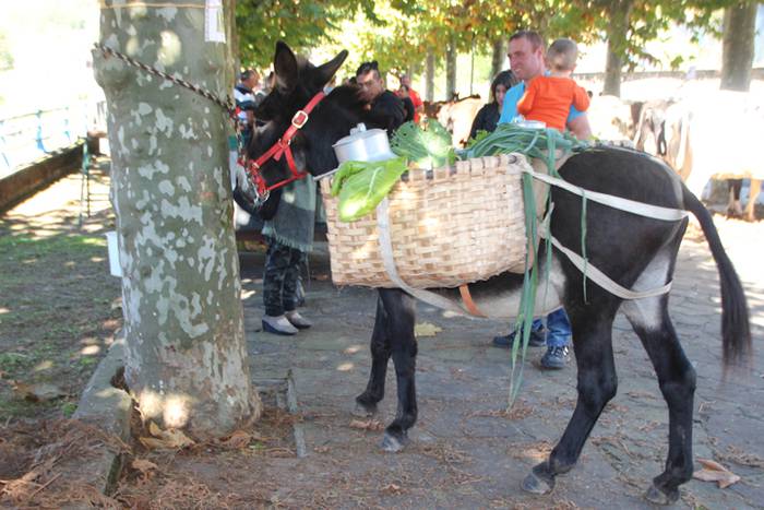 Animali, barazki eta artisau lanen bilgune 29 1477830894028