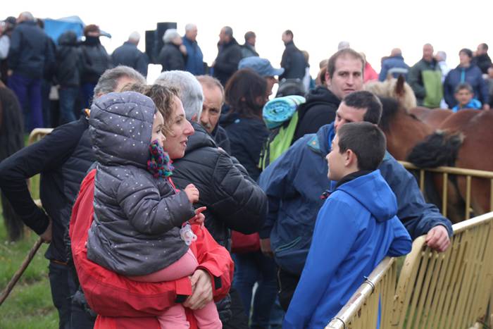 Aralarko larre irekiera 41 1462122136938