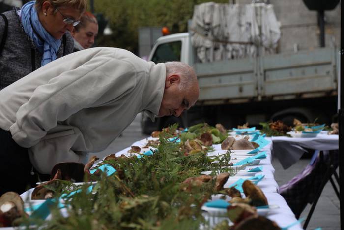 Udazken loreen gurtza 2 1477137452906