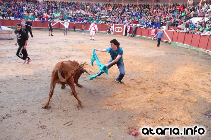 ostegun gizena 2016 zezen plaza 98 1454608292020