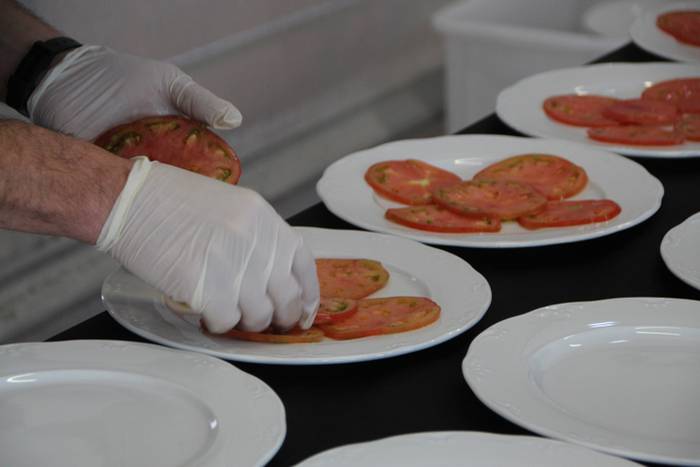 Kostaldea Tolosara ekarrita 10 1496494112730