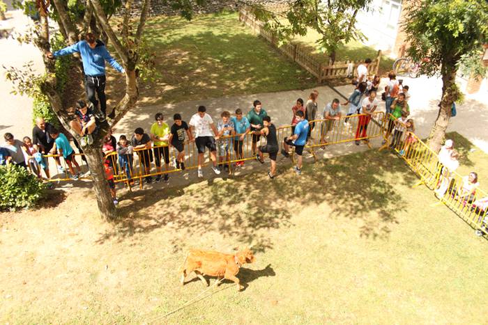 Ikaztegietako Jaiak 2017, um 5 1502457176886