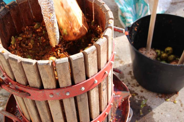 Denetik eta denentzat, Bedai 31 1541343570577