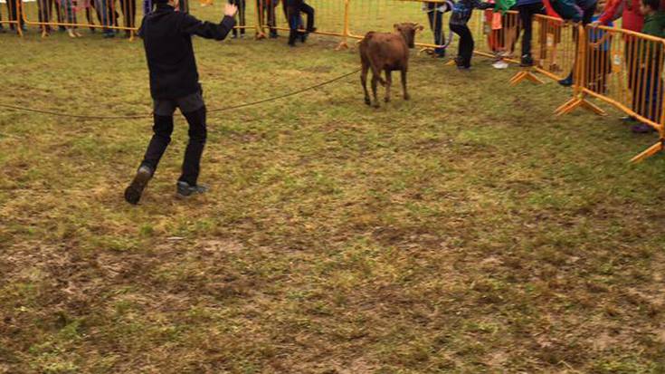 Polemika 'Gorriti eta bere animalien' ikuskizunean