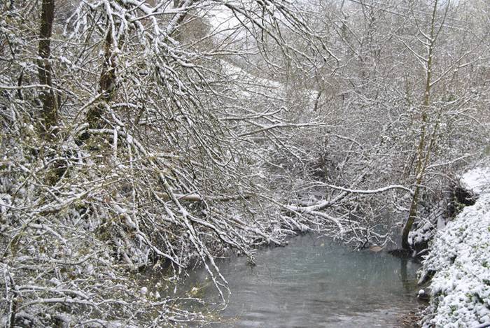 Argazki galeria: Tolosaldea, 20 1519809774055