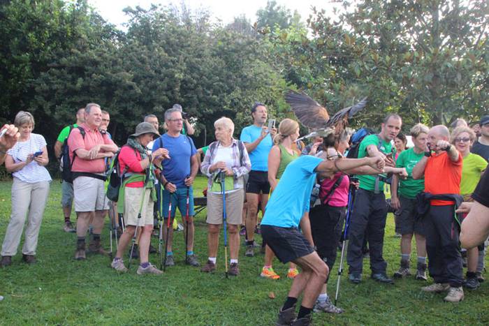 2016 bidea 28 1471775944245