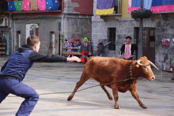 Soka zintzilik eta muturrak  40 1646140701438