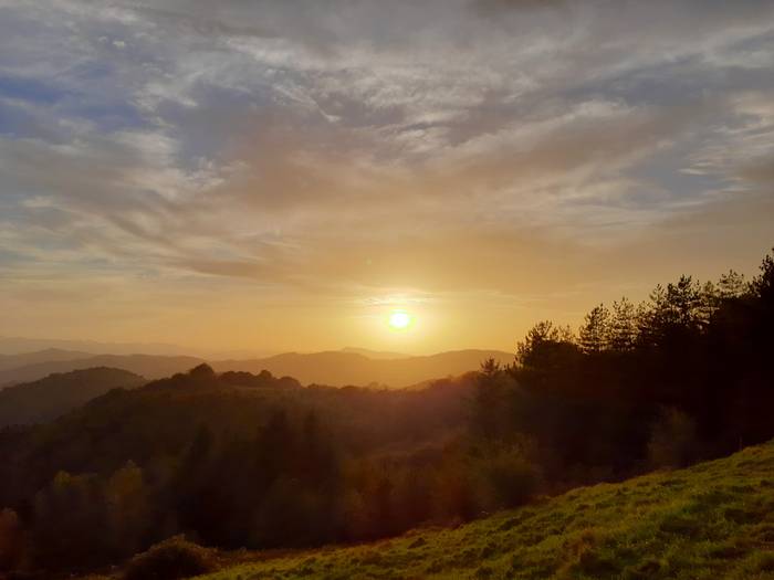 Zelanausitik ilunabarra