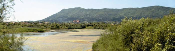 Biodibertsitategunea