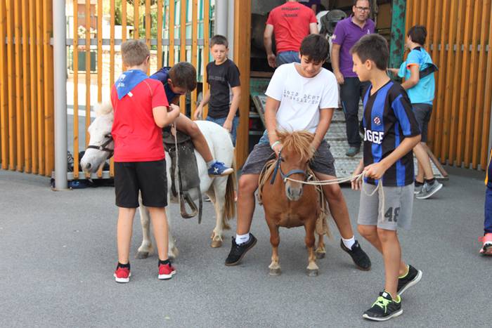 Hernialdeko Jaiak 2017 14 1502714565697