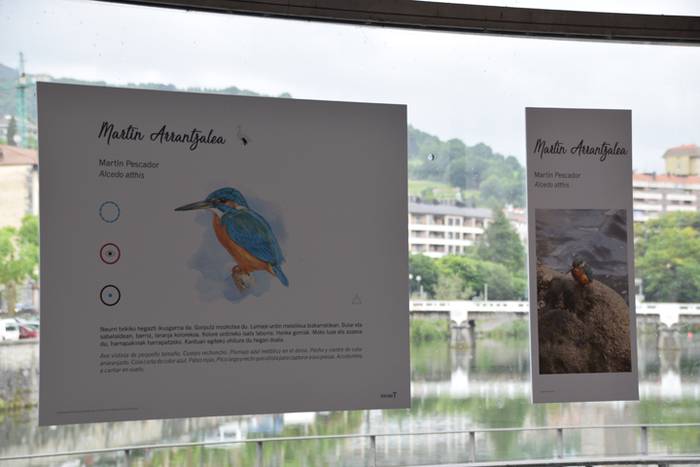 Oria ibaiko hegaztien gida 2 1496757630272