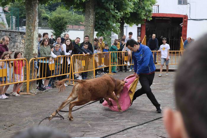 Zezen txikien aurretik 1 1656263610723