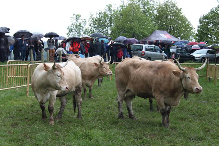 Maiatzak 1, Larre Irekiera E 1 1525186926973