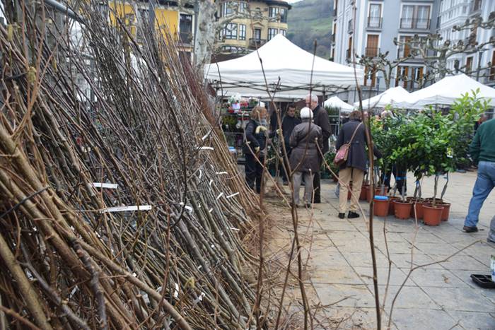 Zuhaitz Azoka, Tolosa, 2017 7 1486819603904