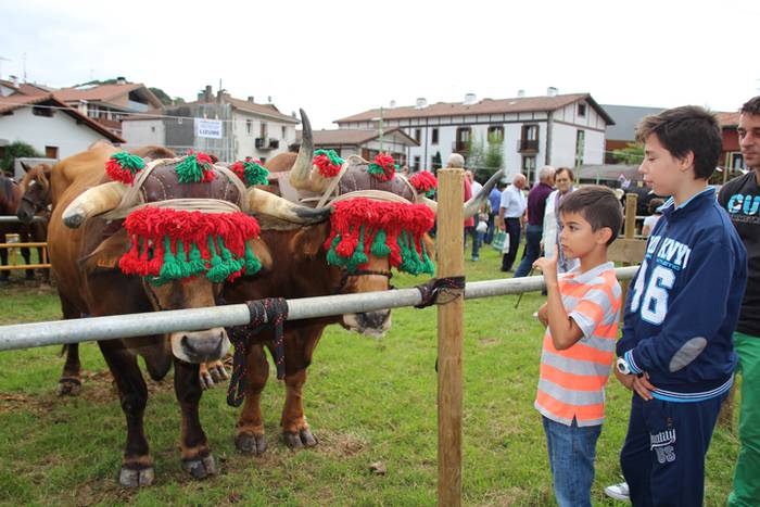 Hutsik egiten ez duen azoka berezia 31 1474813299133