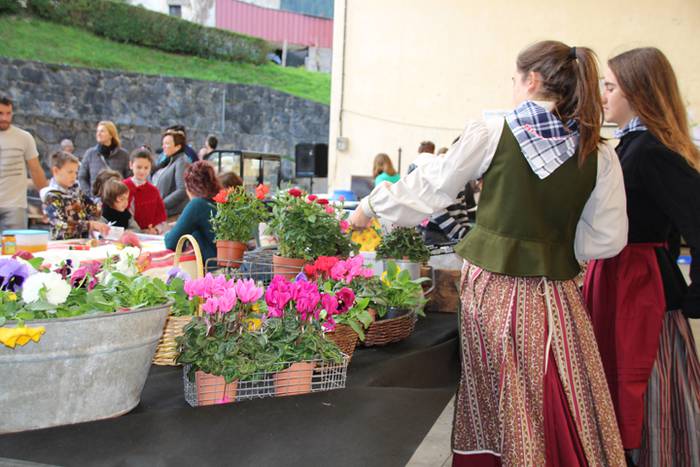 Bertako produktuak nagusi 19 1477233186513