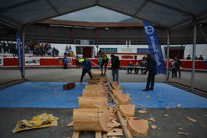 Zaleen indarraz ekin dio Arr 13 1552831999305