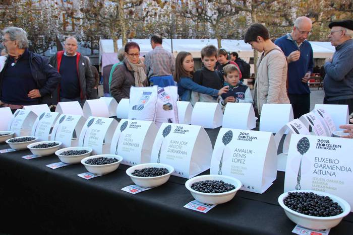 Tolosako Babarrunaren Festa  20 1542467318064