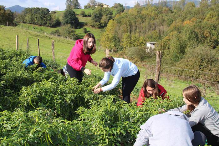 Piperraren zikloa 2015 10 1445442214194