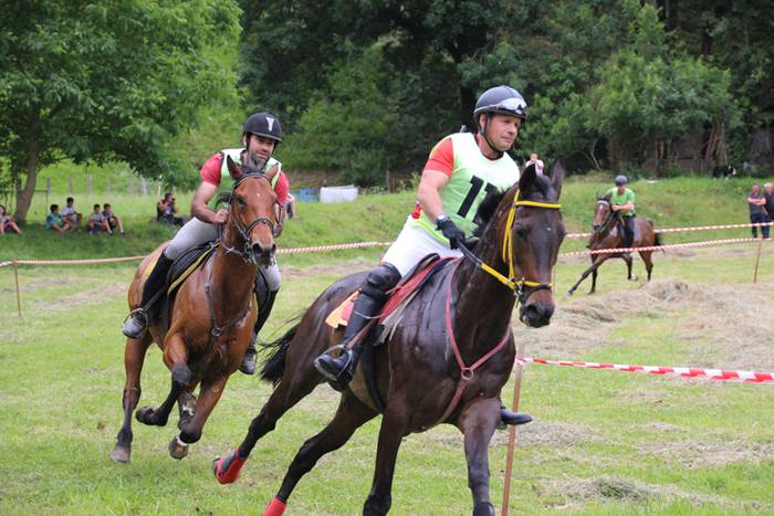 Zaldien gainean lehian 1 1497207094993